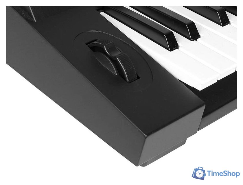 Синтезатор Medeli M331 - Изображение №7 — Интернет-магазин Time-Shop