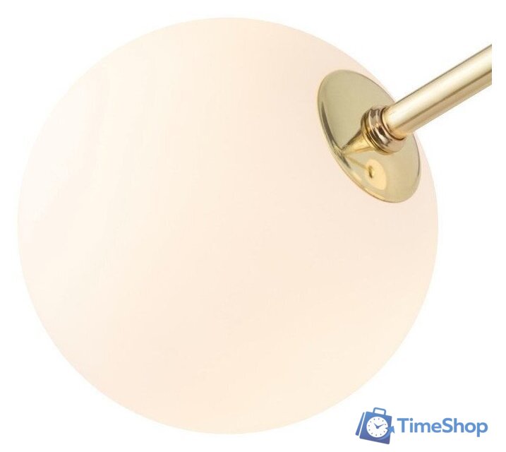 Подвесная люстра TK Lighting TKP3532 - Изображение №3 — Интернет-магазин Time-Shop