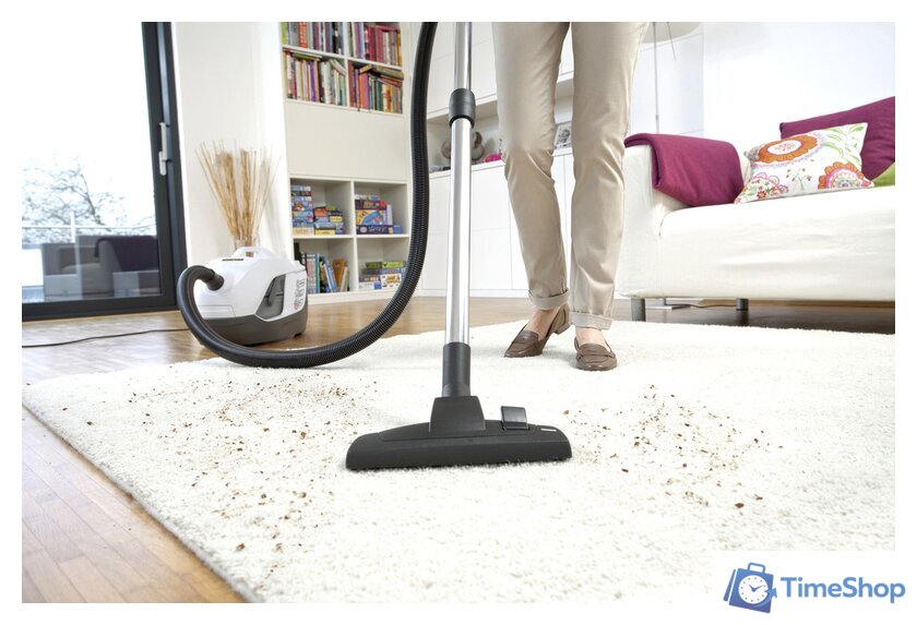 Пылесос Karcher DS 6 Premium Plus 1.195-242.0 - Изображение №7 — Интернет-магазин Time-Shop