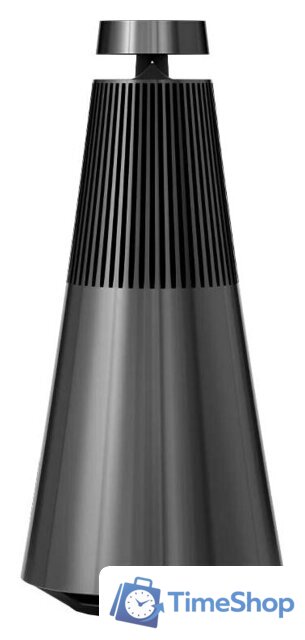 Беспроводная аудиосистема Bang & Olufsen Beosound 2 3rd Gen (антрацит) - Изображение №1 — Интернет-магазин Time-Shop