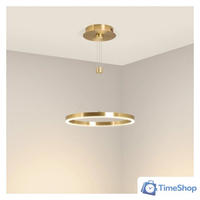 Подвесная люстра Arlight SP-Congo-Can-1-R400-24W Day4000 046210 - Изображение №4 — Интернет-магазин Time-Shop