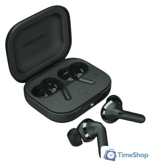 Наушники Motorola Moto Buds+ (темно-зеленый) - Изображение №1 — Интернет-магазин Time-Shop