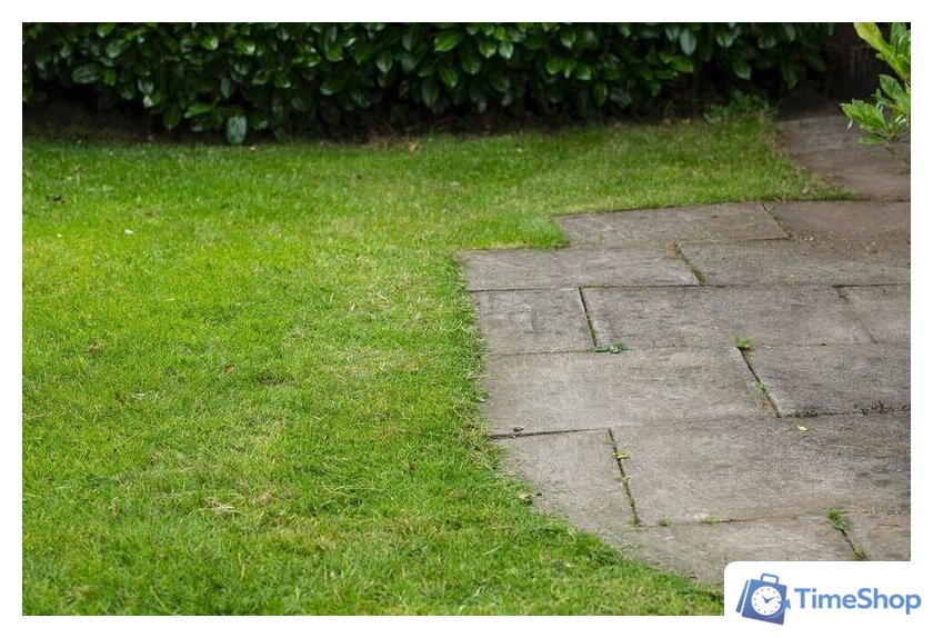 Триммер Ryobi Подрезчик кромок RY18EGA-0 (без АКБ) - Изображение №9 — Интернет-магазин Time-Shop