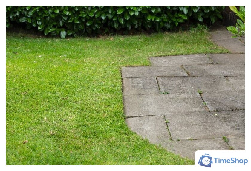 Триммер Ryobi Подрезчик кромок RY18EGA-0 (без АКБ) - Изображение №5 — Интернет-магазин Time-Shop