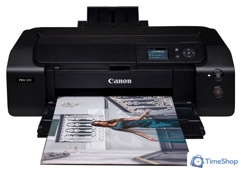 Фотопринтер Canon imagePROGRAF PRO-300 - Изображение №6 — Интернет-магазин Time-Shop
