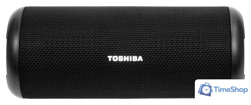Беспроводная колонка Toshiba TY-WSP201 - Изображение №1 — Интернет-магазин Time-Shop