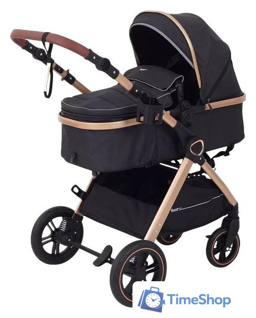 Универсальная коляска Rant Basic Roller Gold RA161 (2 в 1, black) - Изображение №1 — Интернет-магазин Time-Shop