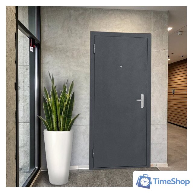 Металлическая дверь Guard Металл/металл 86x205 левая (антик серебристый) - Изображение №4 — Интернет-магазин Time-Shop