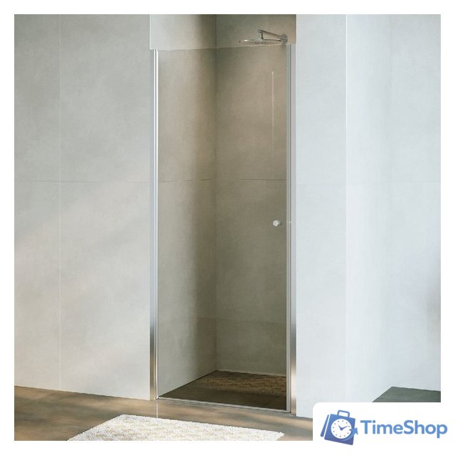 Душевая дверь RGW Dolphin TN-03 54930309-101 90 (хром/фабрик стекло) - Изображение №1 — Интернет-магазин Time-Shop