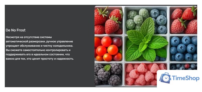 Холодильник TECHNO DD2-27 - Изображение №7 — Интернет-магазин Time-Shop