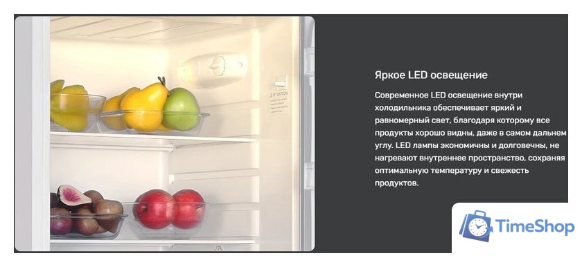 Холодильник TECHNO DD2-27 - Изображение №8 — Интернет-магазин Time-Shop