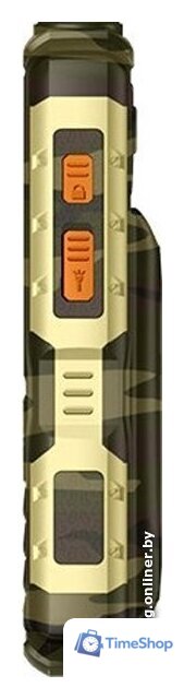 Кнопочный телефон BQ BQ-2430 Tank Power (камуфляж/золотистый) - Изображение №2 — Интернет-магазин Time-Shop