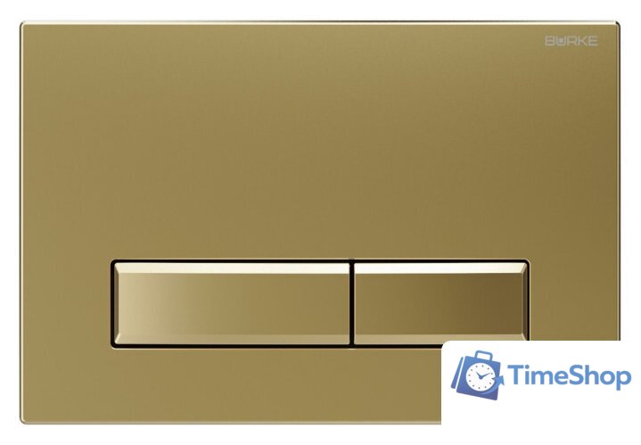 Панель смыва Burke Тип 09 109.GG.1 (матовое золото/золото) - Изображение №1 — Интернет-магазин Time-Shop
