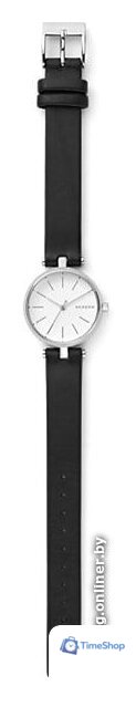 Наручные часы Skagen SKW2639 - Изображение №3 — Интернет-магазин Time-Shop