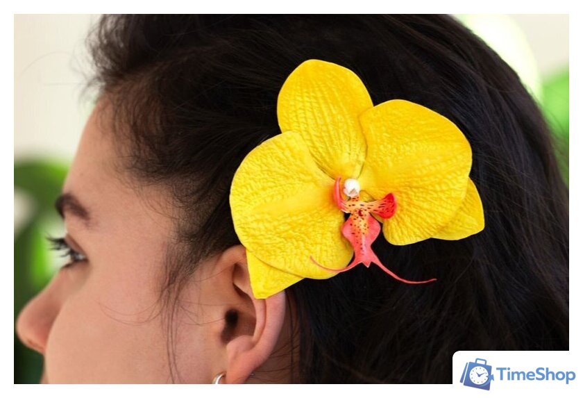  Blumentag EVA 30 Пластичная замша 1 мм 60x70 см (черный 195) - Изображение №6 — Интернет-магазин Time-Shop