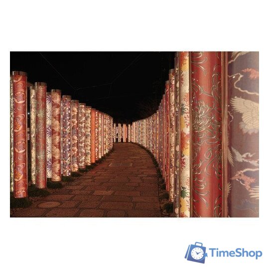 Беззеркальный фотоаппарат Canon EOS R10 RF-S 18-150mm F3.5-6.3 IS STM + адаптер крепления EF-EOS R - Изображение №19 — Интернет-магазин Time-Shop