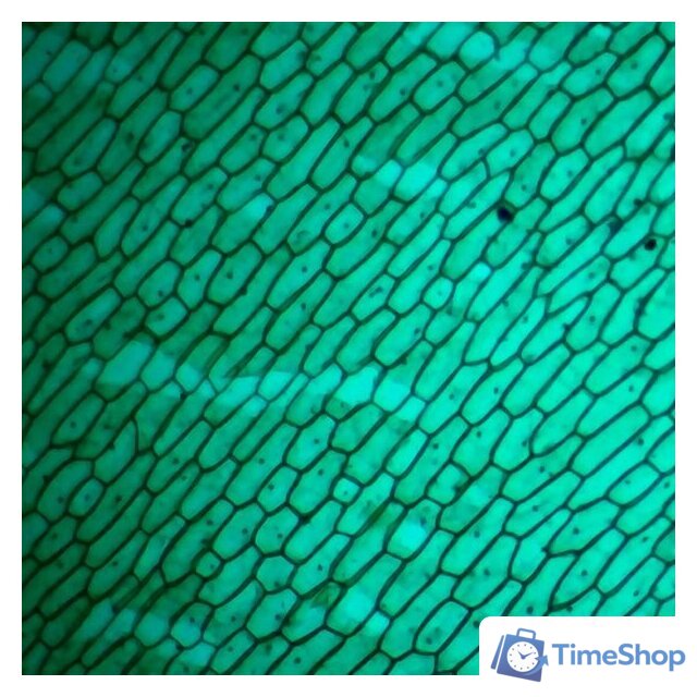 Детский микроскоп Микмед WiFi 2000Х 5.0 28972 - Изображение №11 — Интернет-магазин Time-Shop