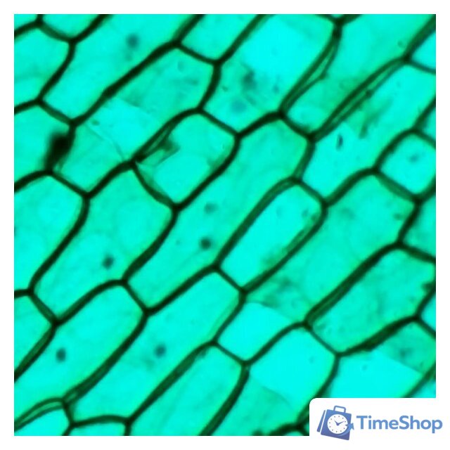 Детский микроскоп Микмед WiFi 2000Х 5.0 28972 - Изображение №12 — Интернет-магазин Time-Shop