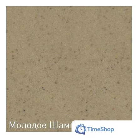 Кухонная мойка Zigmund & Shtain Kreis 505F (молодое шампанское) - Изображение №2 — Интернет-магазин Time-Shop