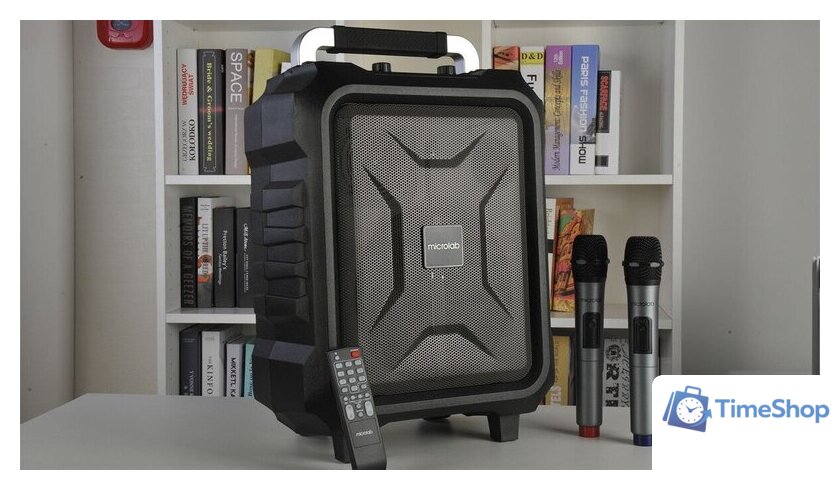 Беспроводная колонка Microlab TL20 - Изображение №6 — Интернет-магазин Time-Shop