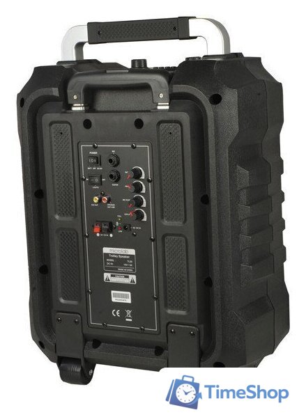 Беспроводная колонка Microlab TL20 - Изображение №3 — Интернет-магазин Time-Shop