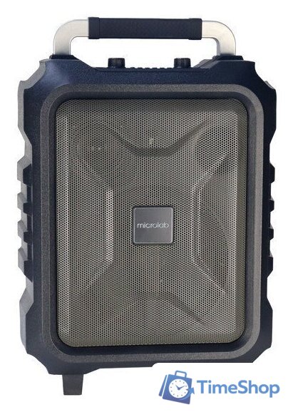 Беспроводная колонка Microlab TL20 - Изображение №1 — Интернет-магазин Time-Shop