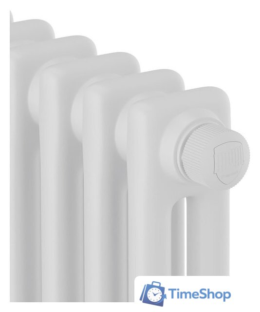Стальной трубчатый радиатор Royal Thermo Insignia VC2050 - 20 секций RAL9016 - Изображение №3 — Интернет-магазин Time-Shop