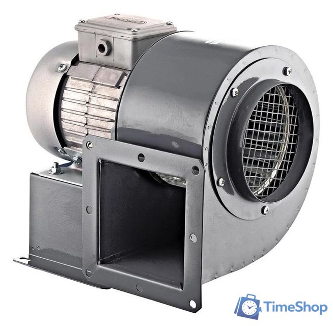 Радиальный вентилятор ERA Pro Buran 200 2K M L - Изображение №1 — Интернет-магазин Time-Shop