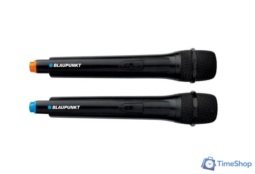 Патибокс Blaupunkt PB12DB - Изображение №3 — Интернет-магазин Time-Shop