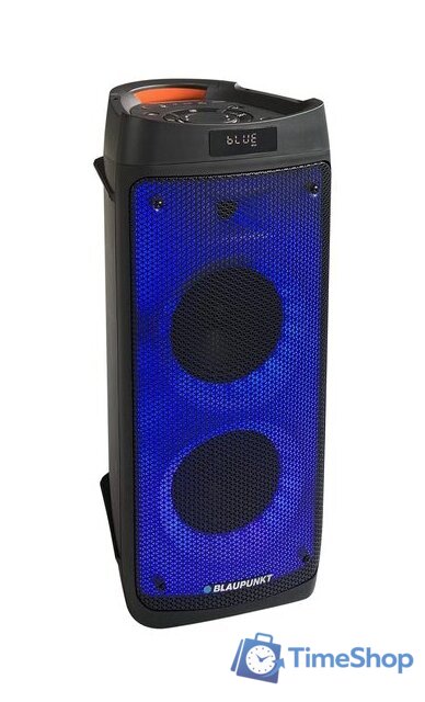 Патибокс Blaupunkt PB06DB - Изображение №3 — Интернет-магазин Time-Shop