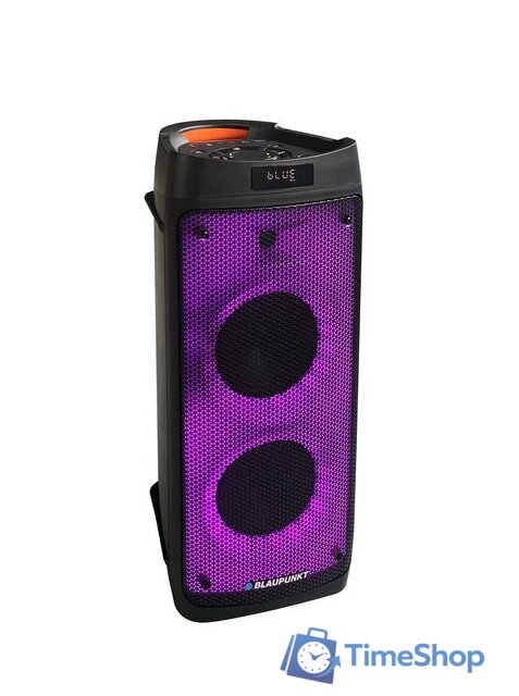 Патибокс Blaupunkt PB06DB - Изображение №4 — Интернет-магазин Time-Shop