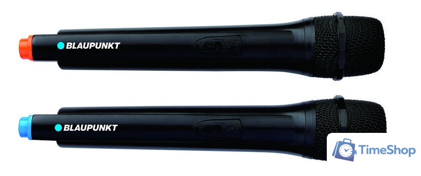 Патибокс Blaupunkt PB06DB - Изображение №7 — Интернет-магазин Time-Shop