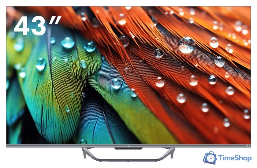 Телевизор Haier 43 Smart TV S4 - Изображение №1 — Интернет-магазин Time-Shop
