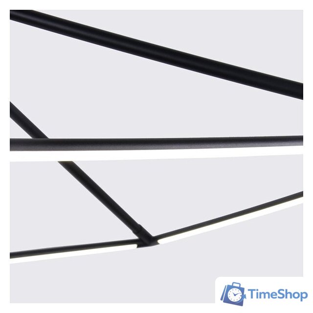 Подвесная люстра Favourite 4573-2P - Изображение №4 — Интернет-магазин Time-Shop