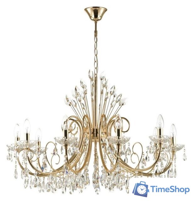 Подвесная люстра Odeon Light Versia 4977/10 - Изображение №1 — Интернет-магазин Time-Shop