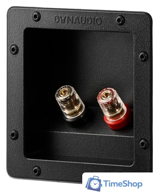 Полочная акустика Dynaudio Evoke 20 (белый рояльный лак) - Изображение №2 — Интернет-магазин Time-Shop