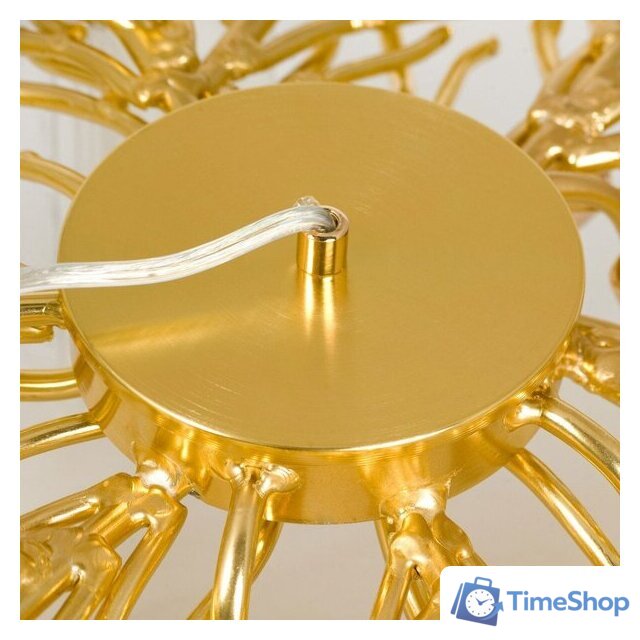 Подвесная люстра Lussole Mesa LSP-8851 - Изображение №4 — Интернет-магазин Time-Shop