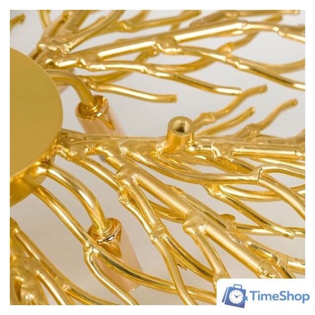 Подвесная люстра Lussole Mesa LSP-8851 - Изображение №2 — Интернет-магазин Time-Shop