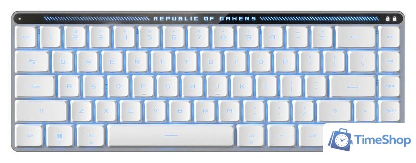 Клавиатура ASUS ROG Falchion RX Low Profile (ASUS ROG RX Red, белый) - Изображение №5 — Интернет-магазин Time-Shop