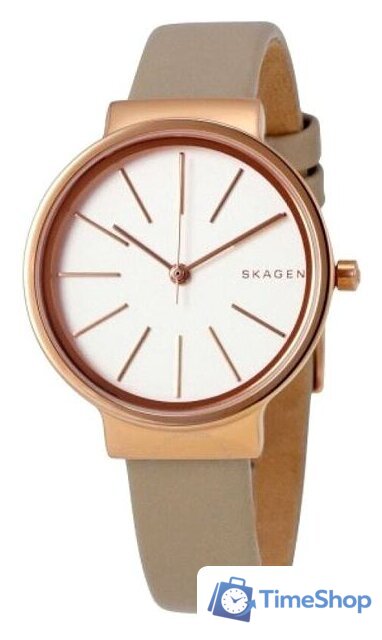Наручные часы Skagen SKW2481 - Изображение №2 — Интернет-магазин Time-Shop
