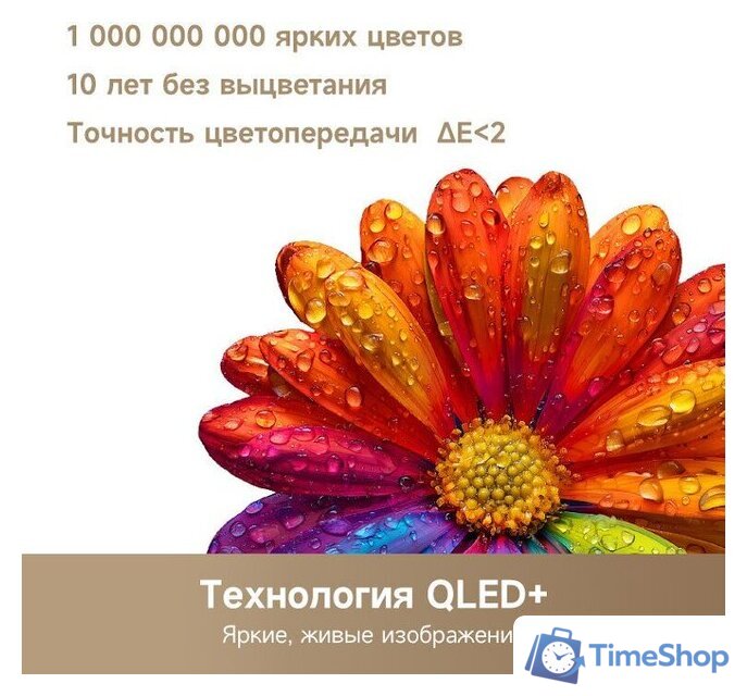 Телевизор Dreame 32Q10 - Изображение №5 — Интернет-магазин Time-Shop