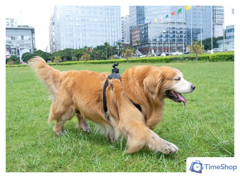 Экшен-камера FeiyuTech Pocket 3 - Изображение №4 — Интернет-магазин Time-Shop