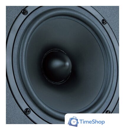 Акустика Microlab Solo-6C - Изображение №3 — Интернет-магазин Time-Shop