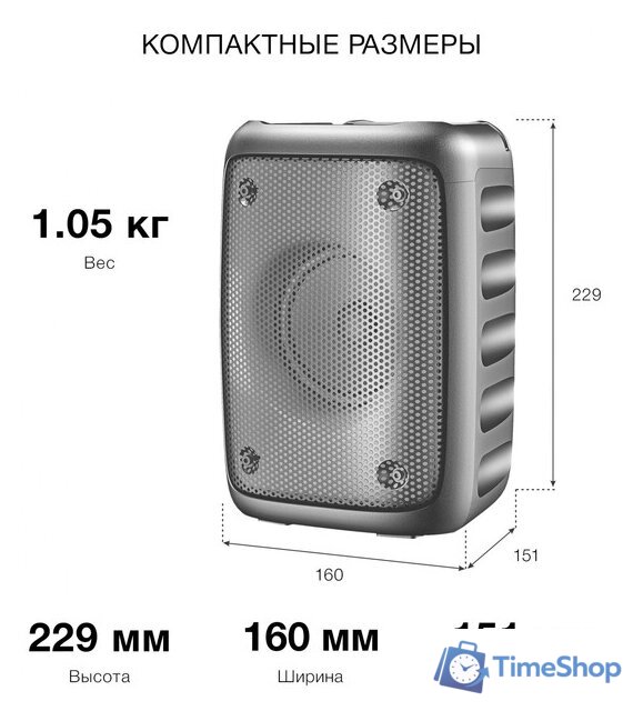 Беспроводная колонка Hyundai H-PS1006 - Изображение №12 — Интернет-магазин Time-Shop