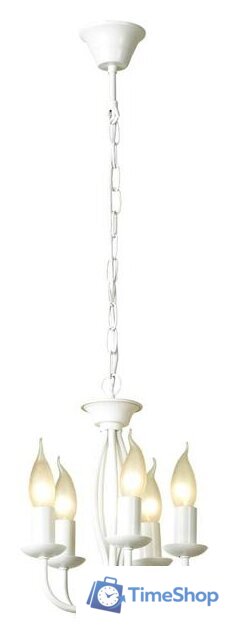 Подвесная люстра Lussole LGO Congress GRLSP-9912 - Изображение №2 — Интернет-магазин Time-Shop