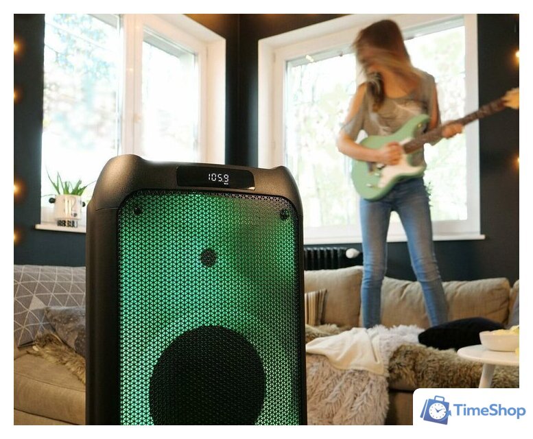 Патибокс Blaupunkt PB10DB - Изображение №14 — Интернет-магазин Time-Shop