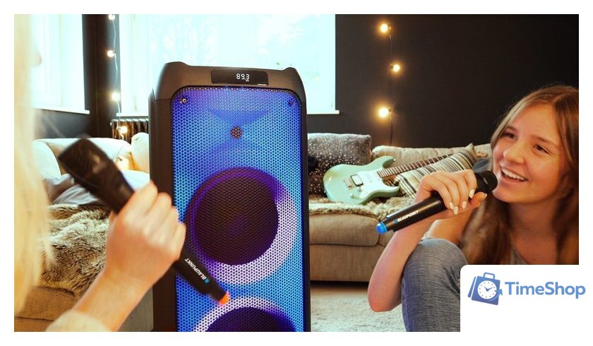 Патибокс Blaupunkt PB10DB - Изображение №13 — Интернет-магазин Time-Shop