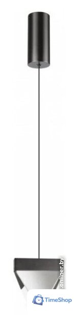 Подвесная люстра Odeon Light Ray 6677/5L - Изображение №1 — Интернет-магазин Time-Shop