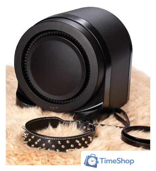 Проводной сабвуфер Paradigm Seismic 110 v.5 - Изображение №3 — Интернет-магазин Time-Shop