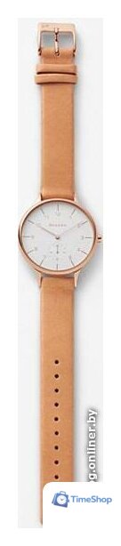 Наручные часы Skagen SKW2405 - Изображение №3 — Интернет-магазин Time-Shop